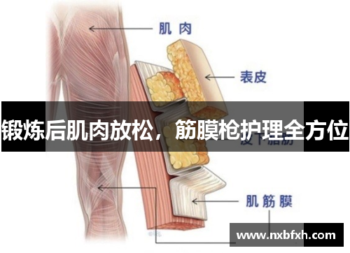 锻炼后肌肉放松，筋膜枪护理全方位